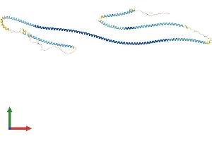 AlphaFold protein structure predicition of Human Recombinant HMMR Protein, UniprotID O75330