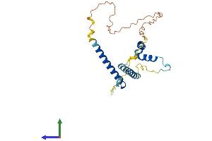 AlphaFold protein structure predicition of Human Recombinant GEMIN8 Protein, UniprotID Q9NWZ8