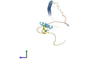 AlphaFold protein structure predicition of Human Recombinant WASHC3 Protein, UniprotID Q9Y3C0