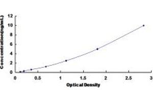 Typical standard curve (PON2 Kit ELISA)