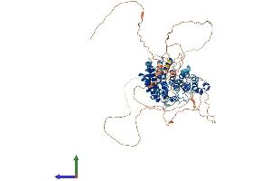 AlphaFold protein structure predicition of Mouse Recombinant Trappc12 Protein, UniprotID Q8K2L8