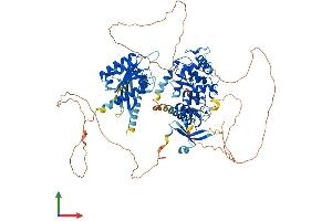 AlphaFold protein structure predicition of Mouse Recombinant Agap1 Protein, UniprotID Q8BXK8