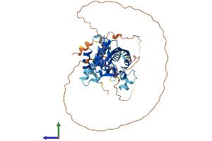 AlphaFold protein structure predicition of Mouse Recombinant Dcp2 Protein, UniprotID Q9CYC6