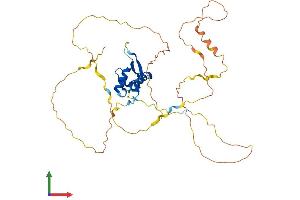 AlphaFold protein structure predicition of Human Recombinant FOXL2 Protein, UniprotID P58012