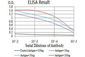 Black line: Control Antigen (100 ng);Purple line: Antigen (10ng); Blue line: Antigen (50 ng); Red line:Antigen (100 ng) (ARF1 anticorps  (AA 76-182))