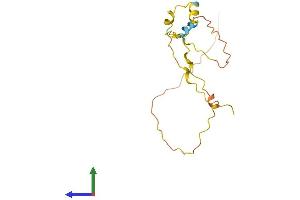 AlphaFold protein structure predicition of Human Recombinant PSORS1C1 Protein, UniprotID Q9UIG5