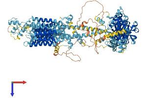 AlphaFold protein structure predicition of Human Recombinant ADCY6 Protein, UniprotID O43306