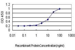 Detection limit for recombinant GST tagged POLA is approximately 0. (POLA1 anticorps  (AA 1363-1462))