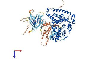 AlphaFold protein structure predicition of Mouse Recombinant Tbc1d17 Protein, UniprotID Q8BYH7