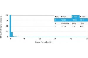 Analysis of Protein Array containing more than 19,000 full-length human proteins using PD1 Mouse Monoclonal Antibody (PDCD1/2720) Z- and S- Score: The Z-score represents the strength of a signal that a monoclonal antibody (Monoclonal Antibody) (in combination with a fluorescently-tagged anti-IgG secondary antibody) produces when binding to a particular protein on the HuProtTM array. (PD-1 anticorps)