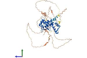 AlphaFold protein structure predicition of Human Recombinant NFIC Protein, UniprotID P08651
