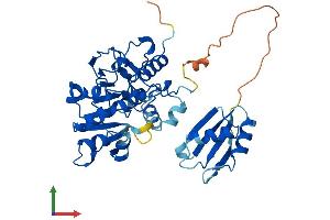 AlphaFold protein structure predicition of Mouse Recombinant Mthfsd Protein, UniprotID Q3URQ7