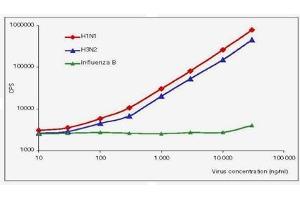ELISA image for anti-Influenza A Virus antibody (Influenza A Virus H1N1) (ABIN263825) (Influenza A Virus anticorps (Influenza A Virus H1N1))