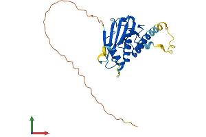 AlphaFold protein structure predicition of Human Recombinant MAD2L1BP Protein, UniprotID Q15013