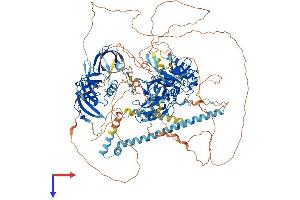 AlphaFold protein structure predicition of Human Recombinant SETDB1 Protein, UniprotID Q15047