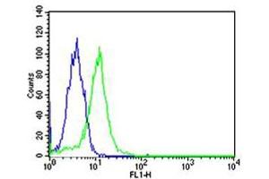 Flow cytometric analysis of Hela cells using ARA Antibody (green, Cat(ABIN1944858 and ABIN2838532)) compared to an isotype control of mouse IgG1(blue).