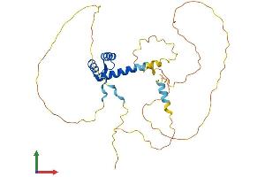 AlphaFold protein structure predicition of Mouse Recombinant Pitx1 Protein, UniprotID P70314