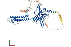 AlphaFold protein structure predicition of Human Recombinant KCNJ14 Protein, UniprotID Q9UNX9