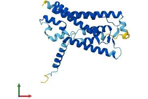 AlphaFold protein structure predicition of Human Recombinant NRM Protein, UniprotID Q8IXM6