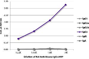 ELISA plate was coated with purified mouse IgG1, IgG2a, IgG2b, IgG3, IgM, and IgA. (Rat anti-Souris IgG3 Anticorps (HRP))