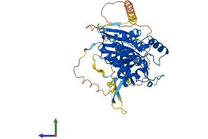 AlphaFold protein structure predicition of Mouse Recombinant Ip6k2 Protein, UniprotID Q80V72