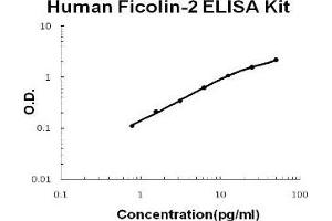 Human Ficolin-2 PicoKine ELISA Kit standard curve (Ficolin 2 Kit ELISA)