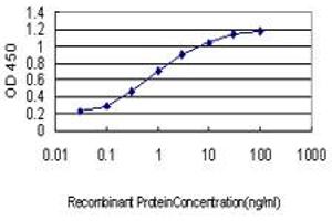 Detection limit for recombinant GST tagged SALF is approximately 0. (GTF2A1 anticorps  (AA 141-249))
