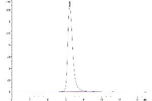 The purity of SARS-COV-2 Spike S1 (N501Y) is greater than 95 % as determined by SEC-HPLC.
