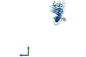 AlphaFold protein structure predicition of Human Recombinant TRIM77 Protein, UniprotID I1YAP6