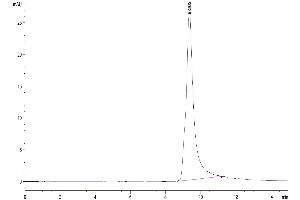The purity of Mouse ASPH is greater than 95 % as determined by SEC-HPLC.