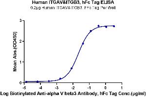 Immobilized Human ITGAV&ITGB3, hFc Tag at 2 μg/mL (100 μL/well) on the plate.