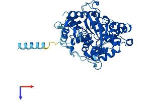 AlphaFold protein structure predicition of Human Recombinant EPHX1 Protein, UniprotID P07099