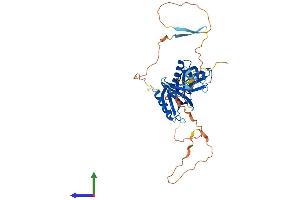 AlphaFold protein structure predicition of Mouse Recombinant Plekha2 Protein, UniprotID Q9ERS5