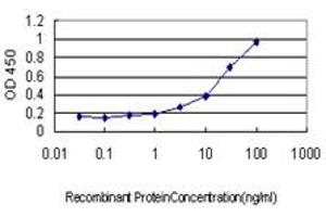 Detection limit for recombinant GST tagged NODAL is approximately 1ng/ml as a capture antibody. (Nodal anticorps  (AA 275-346))