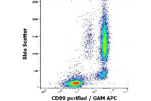 Flow cytometry surface staining pattern of human peripheral whole blood stained using anti-human CD89 (A59) purified antibody (concentration in sample 3 μg/mL) GAM APC. (FCAR anticorps)