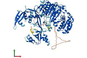 AlphaFold protein structure predicition of Human Recombinant PIWIL1 Protein, UniprotID Q96J94