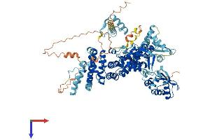 AlphaFold protein structure predicition of Human Recombinant UBE3A Protein, UniprotID Q05086