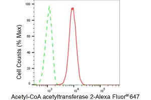 Flow cytometric analysis of Acetyl-CoA acetyltransferase 2 expression in C2C12 cells using Acetyl-CoA acetyltransferase 2 antibody (ABIN7797440), 1:2,000).