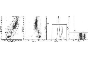 Image no. 1 for anti-Protein tyrosine Phosphatase, Receptor Type, C (PTPRC) antibody (APC) (ABIN1106393) (CD45 anticorps  (APC))