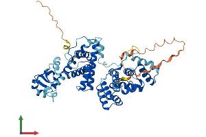 AlphaFold protein structure predicition of Mouse Recombinant Prim2 Protein, UniprotID P33610