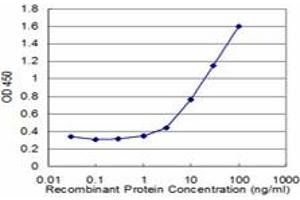 anti-Nucleolar and Coiled-Body Phosphoprotein 1 (NOLC1) (AA 590-699) antibody