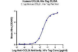 Immobilized Human CCL24, His Tag at 1 μg/mL (100 μL/Well) on the plate.