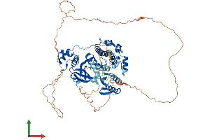 AlphaFold protein structure predicition of Mouse Recombinant Melk Protein, UniprotID Q61846