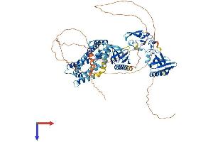 AlphaFold protein structure predicition of Human Recombinant FGD4 Protein, UniprotID Q96M96