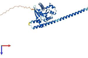 AlphaFold protein structure predicition of Human Recombinant GIMAP5 Protein, UniprotID Q96F15