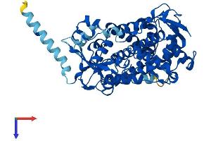 AlphaFold protein structure predicition of Human Recombinant CYP2D6 Protein, UniprotID P10635