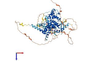 AlphaFold protein structure predicition of Mouse Recombinant Arhgap40 Protein, UniprotID E9Q6X9