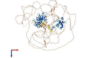 AlphaFold protein structure predicition of Mouse Recombinant Arid5b Protein, UniprotID Q8BM75