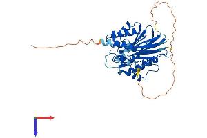 AlphaFold protein structure predicition of Human Recombinant TDP2 Protein, UniprotID O95551