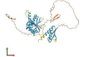 AlphaFold protein structure predicition of Mouse Recombinant Pcbp3 Protein, UniprotID P57722
